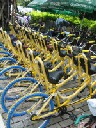 banana bikes