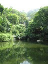 White Cloud Temple